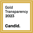 A rectangular frame of two thick gold lines surrounds the words "Gold Transparncy 2023 Candid."