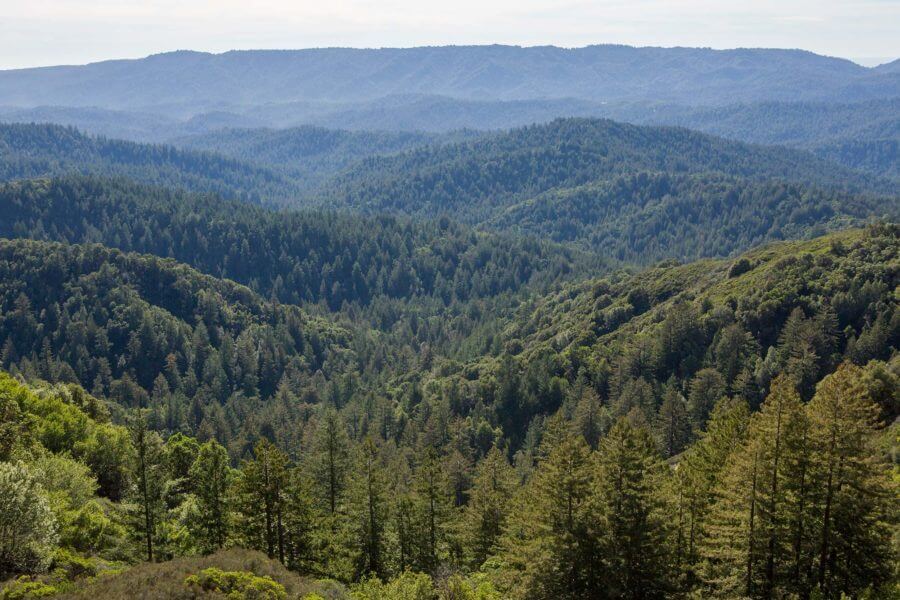 Castle Rock State Park Vista by David Royal