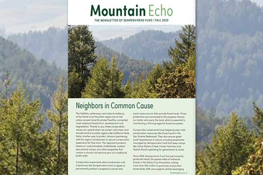 Mountain Echo Newsletter