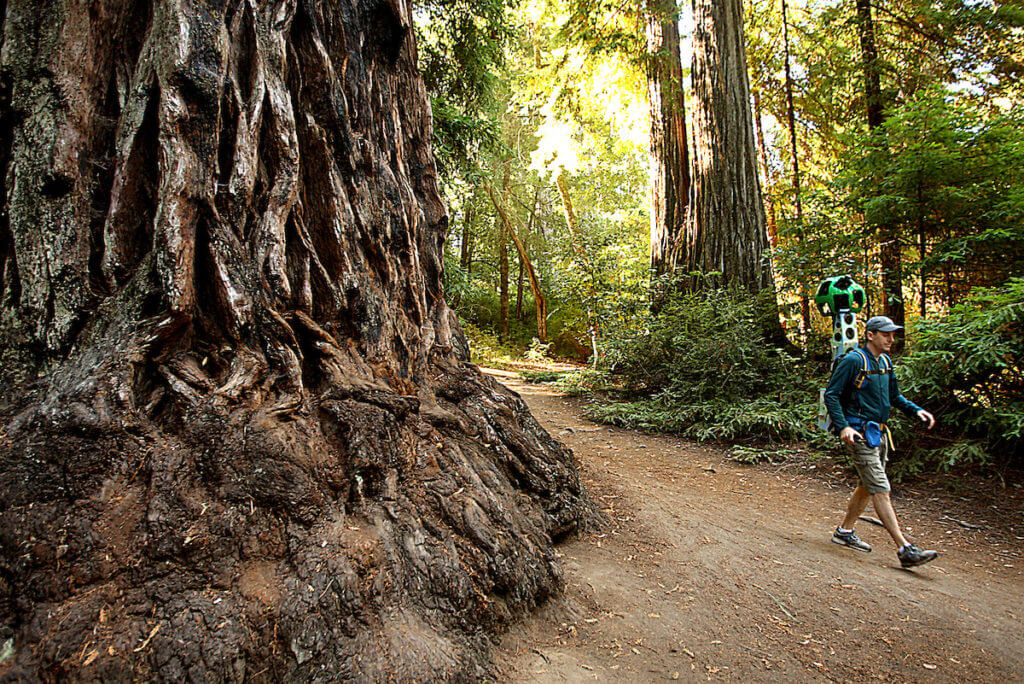 SVF volunteer Paul Davis maps Sequoia Trail in Big Basin using Google Trekker backpack.