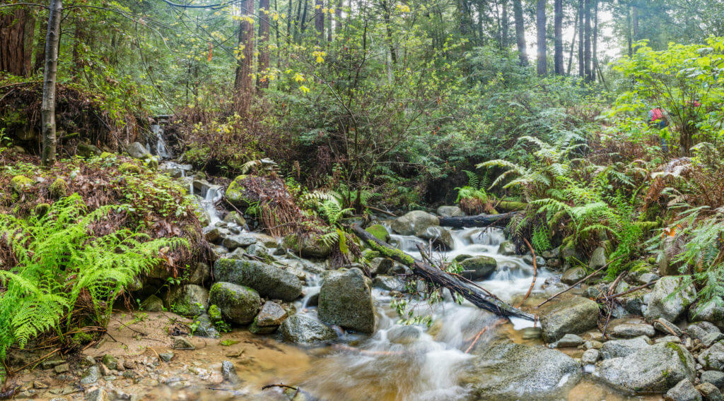 San Vicente Creek. Credit to Ian Bornarth
