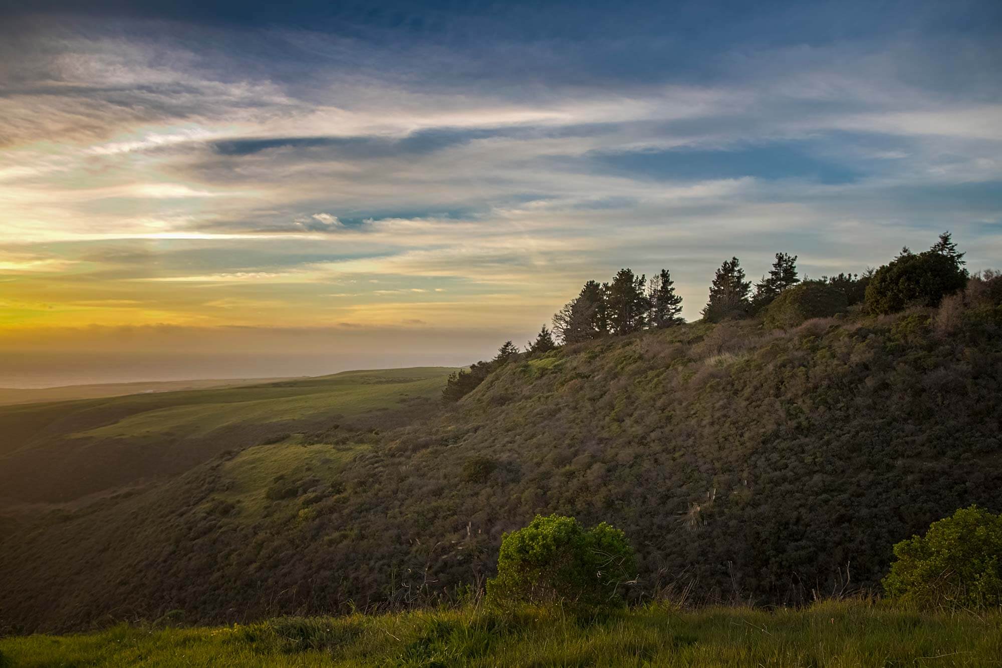 Cotoni Coast Dairies National Monument Terrain R Rymer