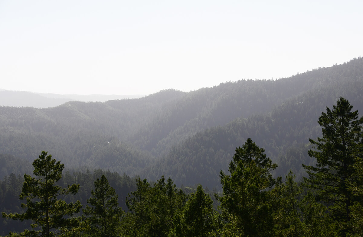 Image of the Gazos Creek Property, taken from the overlook on Olmo Fire Road.