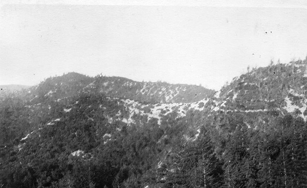 Logged Hills 1900 Santa Cruz Mountains