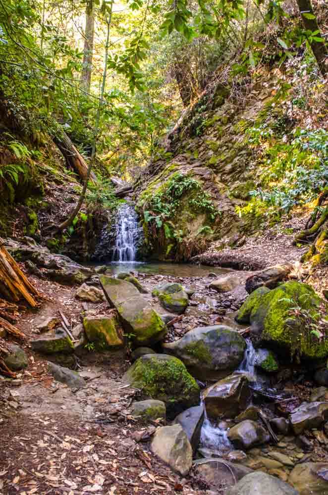 Portola Redwoods Tip Toe Falls by Wayne Hsieh