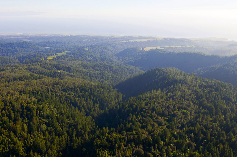 Aerial view of San Vicente Redwoods looking out towards the coast. Photo by William K. Matthias.