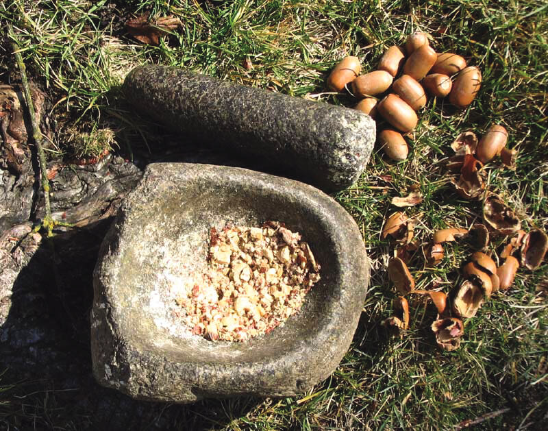 an image of a mortar and pestal
