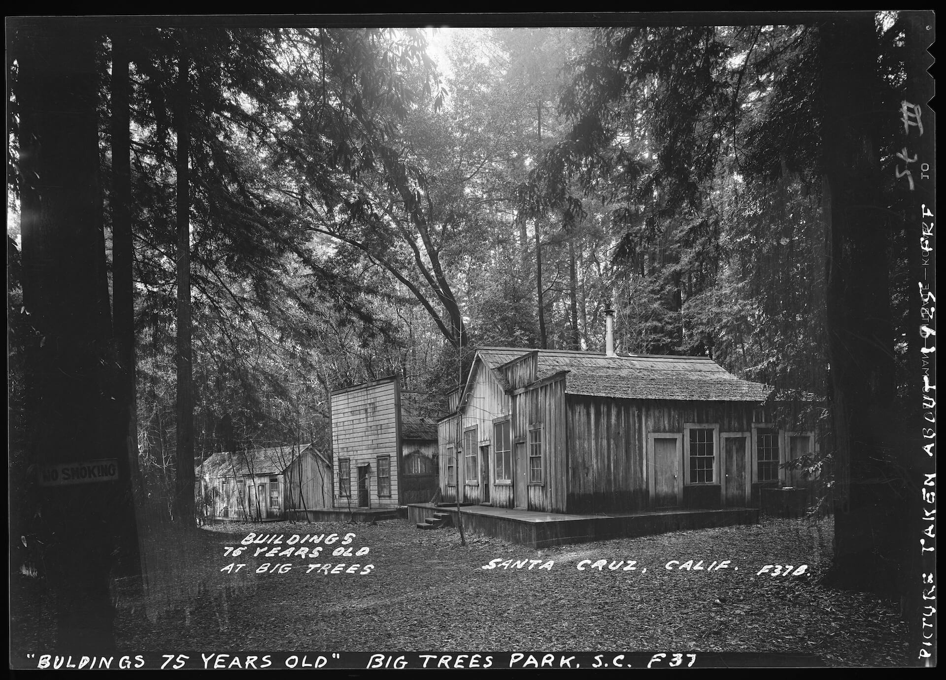 Henry Cowell Redwoods State Park historic buildings by F.R. Fulmer