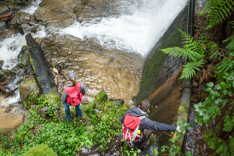 Hydrogeology is helping us to remove an old dam and restore habitat for endangered coho salmon