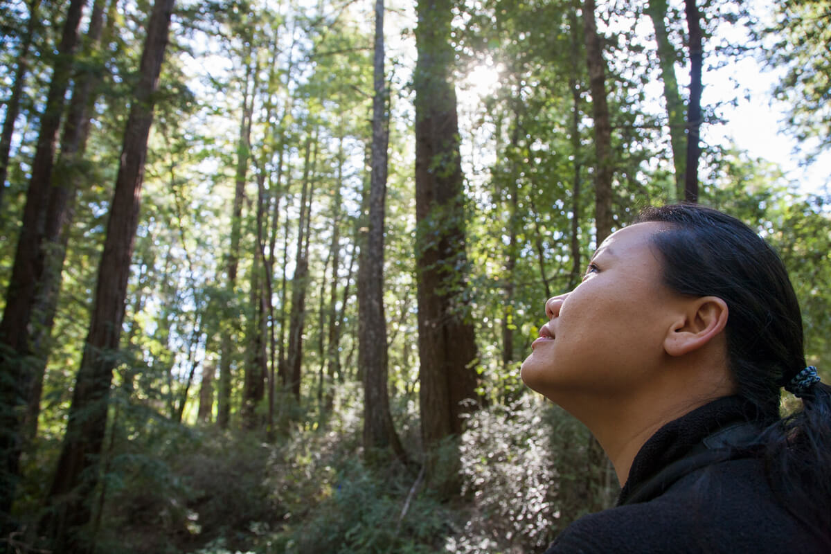 Learn Redwoods And People Mental Health