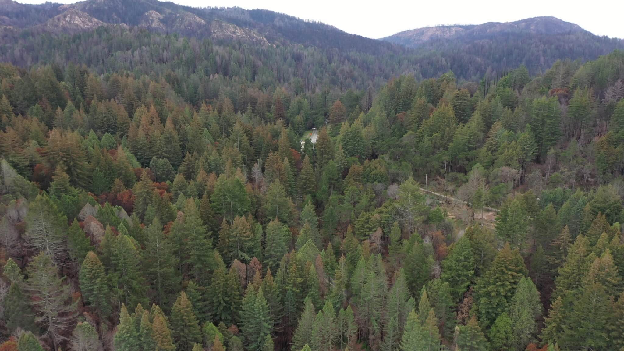 Aerial view of the Gateway to Big Basin, a 153-acre redwood forest along Highway 236. Help Sempervirens Fund preserve the Gateway:  sempervirens.org