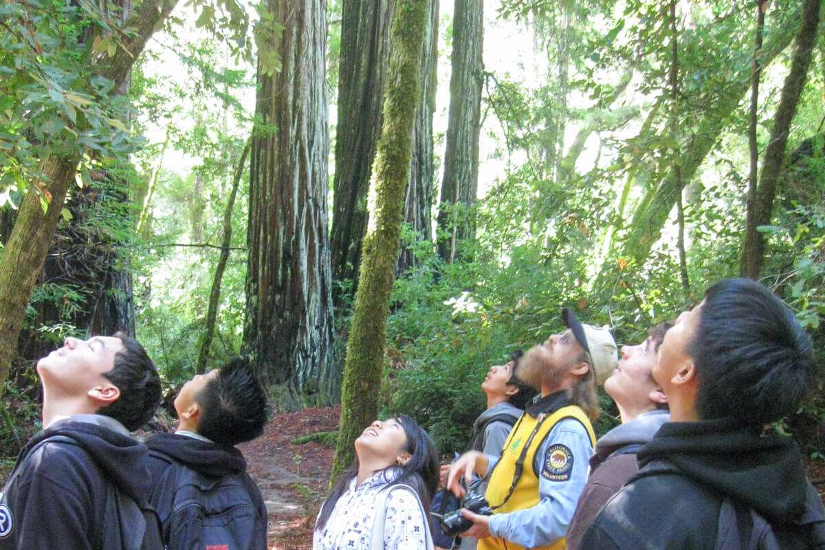 A group of hikers looks up to an unseen redwood canopy in awe