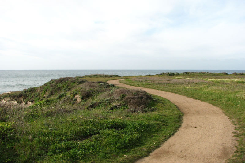 Wilder Ranch Old Cove Landing Trail By Sgrace