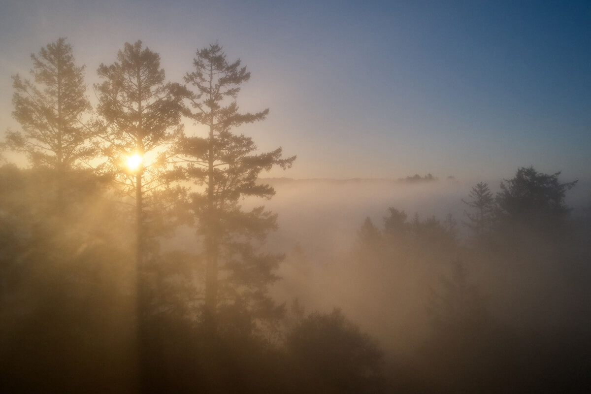 Camp Jones Gulch Conservation Easement Sun And Fog By Canopy Dynamics