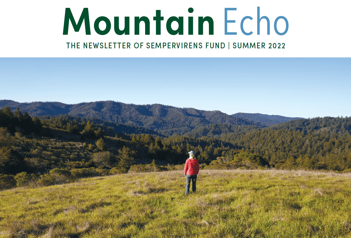 Mountain Echo Summer 2022