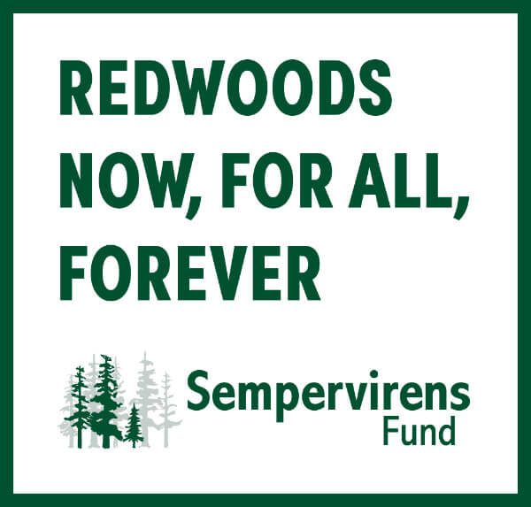 Redwoods For All SVF Stamp Green