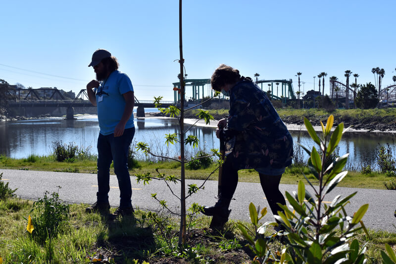 Chris and Earth Stewards planting along the San Lorenzo River, by Santa Cruz Museum of Natural Hsitory