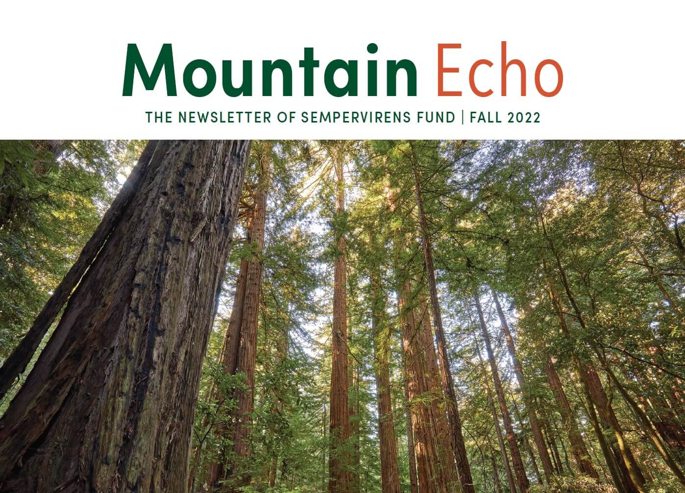 Mountain Echo Fall 22