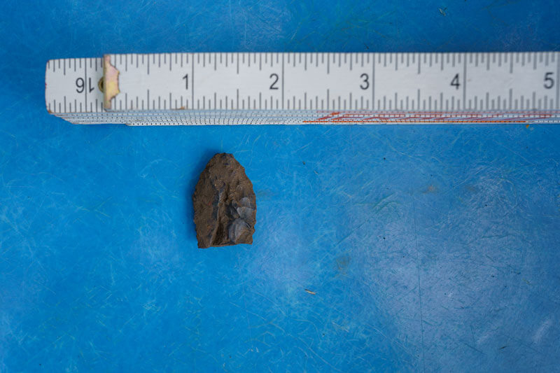A black projectile point, shaped flat at the bottom, sloping out at the sides, and narrowing up toward a point at the top, that was found at San Vicente Redwoods lies on a bright blue tray with a white ruler at the top for scale, photo by Orenda Randuch