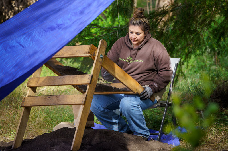 Marcella Luna, Amah Mutsun Tribal Band member and Amah Mutsun Land Trust Native Steward, sits in a folding chair carefully examining soil samples on a wood-framed screen used to sift the soil that rests against her knees in the shade of out-of-focus redwoods around her and a bright blue tarp hung at an angle, photo by Orenda Randuch