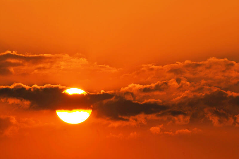 Climate Action For Redwoods Temperature Sun And Clouds By Tambako The Jaguar