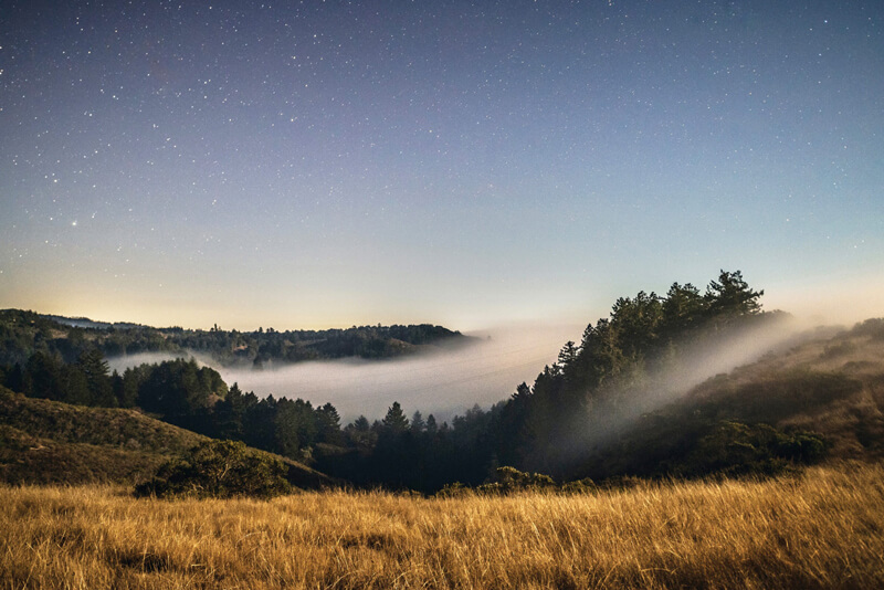 A blanket of fog moves over the redwood forest in the last light of the setting sun under a starry sky at San Vicente Redwoods, by Teddy Miller