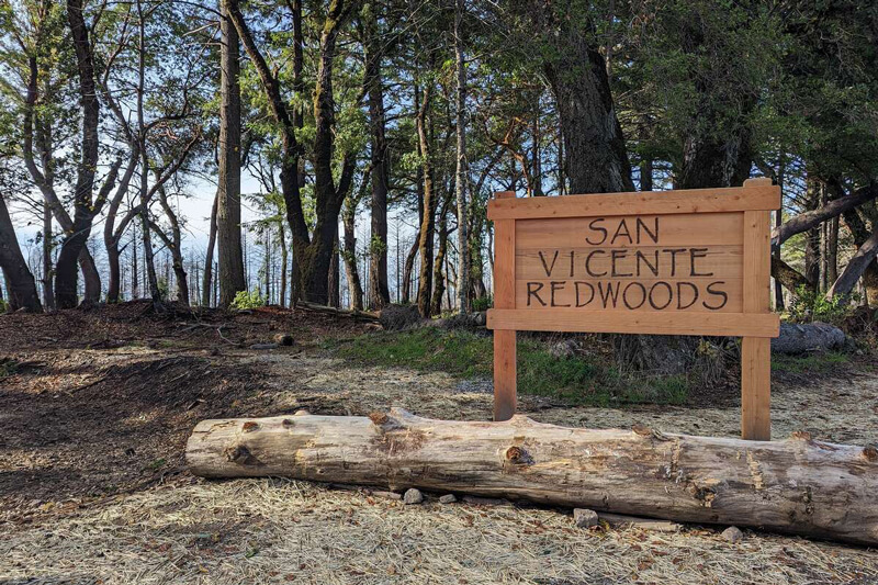 InTheNews San Vicente Redwoods SFGate 1 3 23 By Eric Brooks