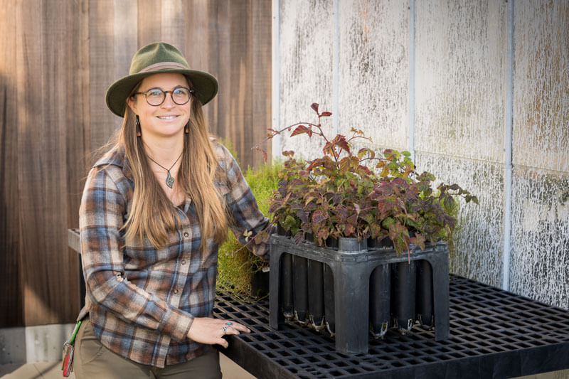 Seedling Saga Sylvie Childress California Blackberries By Orenda Randuch