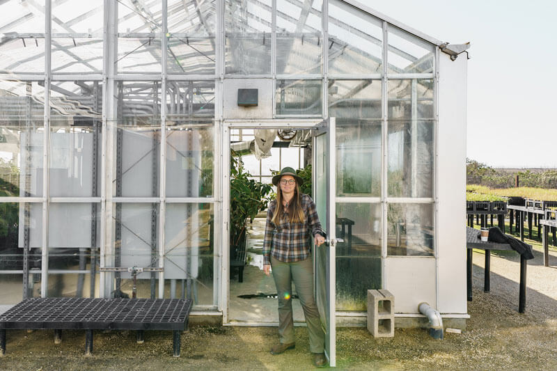 Seedling Saga Sylvie Childress UCSC Greenhouse By Orenda Randuch