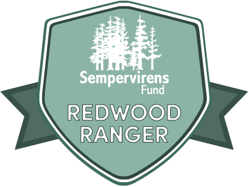Redwood Ranger badge