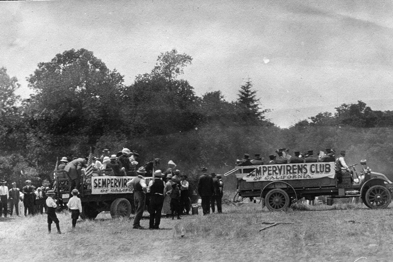 A black and white photo from the early 1900's of Sempervirens Club members organizing into two large flatbed trucks hung with banners that read "Sempervirens Club of California" in a light grassy area with darker layers of shrubs and trees in the background