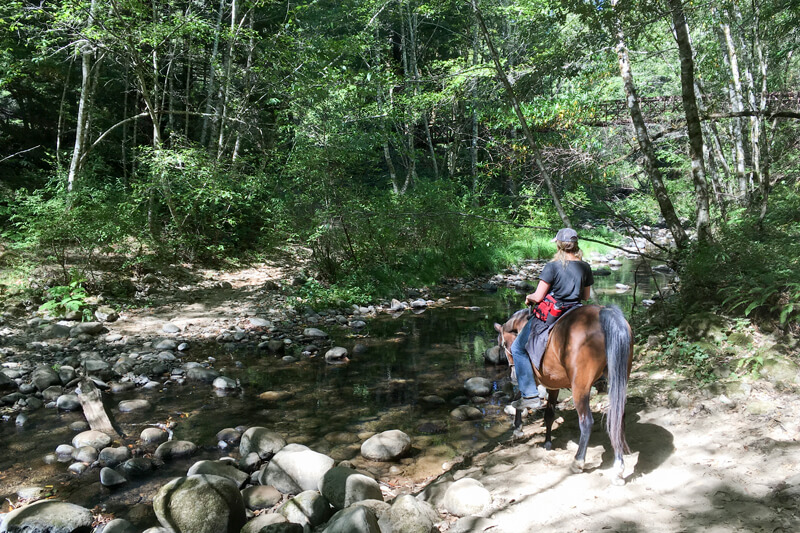 Hike Bike Ride Horseback Riding By MKahn