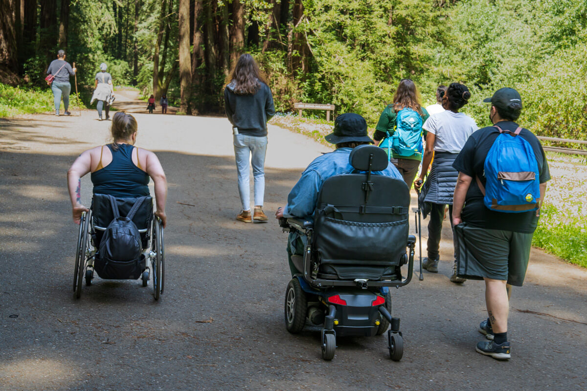 Seven members of the Disabled Hikers community (one person in the front right is partially obscured) hike utilizing different mobility devices including canes and both motorized and non-motorized wheel chairs on a wide paved trail dappled with sunlight through the tall redwood forest canopy, by Orenda Randuch