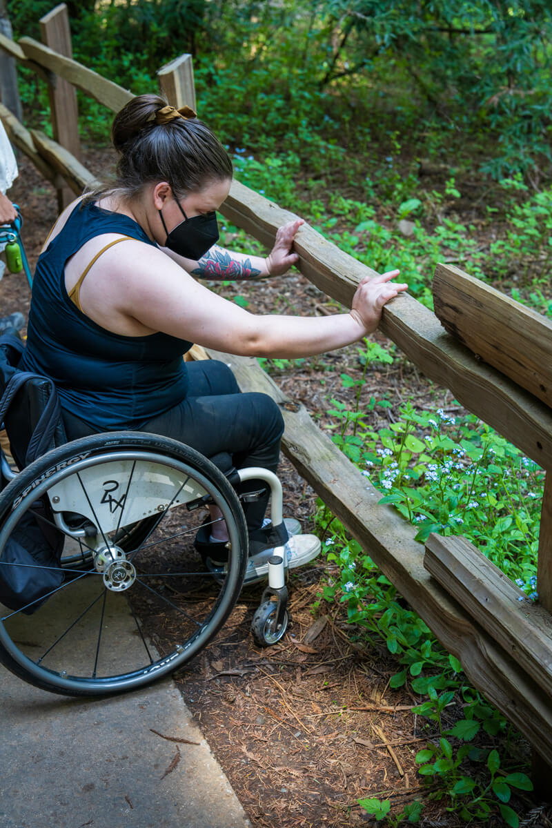 A hiker utilizing a non-motorized wheel chair at the trail’s edge with arms braced against a rustic wooden fence tries to get a better look at the wildflowers on the other side of the fence that are partially obscured from the hiker’s line of sight, by Orenda Randuch
