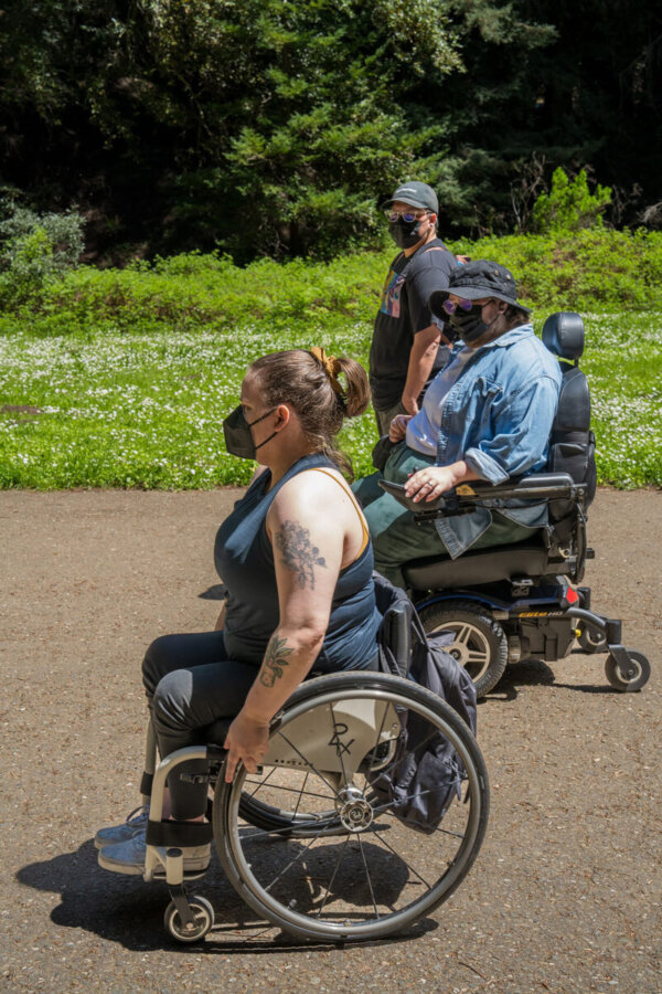 Three Disabled Hiker community members in profile hike by low grasses spotted with small white wildflowers along the dark green edge of the forest, by Orenda Randuch