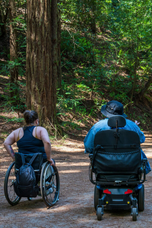 Two Disabled Hiker community members utilizing different types of wheelchairs—motorized and non-motorized—as they hike under the shade of the redwoods, by Orenda Randuch