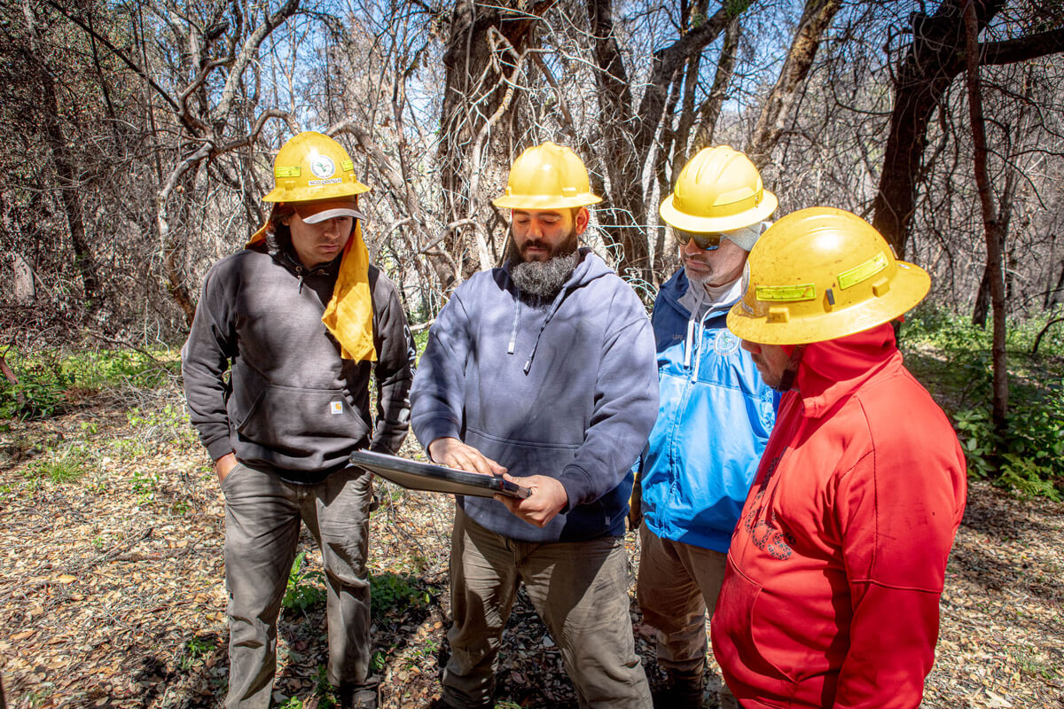 Nico, Alec, Lupe, and another Amah Mutsun Land Trust Native Stewardship Corps member wearing bright yellow hard hats confer over earlier ground radar results to help them identify the most promising locations to take soil samples during a cultural landscape survey at San Vicente Redwoods, photo by Ian Bornarth