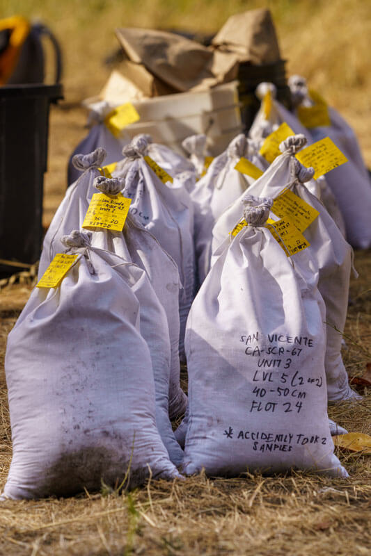Two lines of white cloth sacks filled with soil samples for further lab analysis bear bright yellow tags specifying which excavation plot they were taken from and at what depth they were taken from San Vicente Redwoods, photo by Orenda Randuch