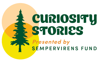 Curiosity Stories logo has a dark green tree icon on a peach circle above a yellow circle that makes oarange in the middle where they overlap. White font reads "Curiosity Stories presented by Sempervirens Fund"