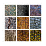 A grid of 9 squares show different textures and colors of burned bark, Ian Bornarth