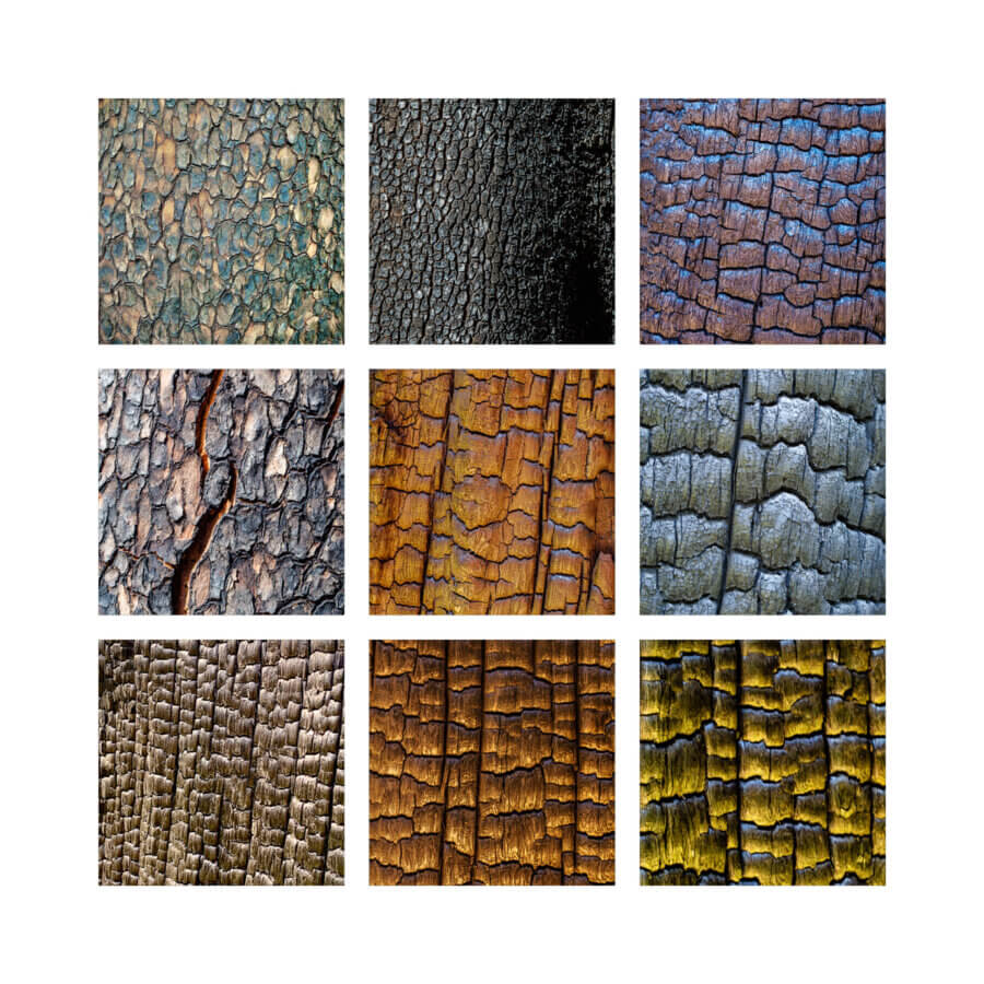 A grid of 9 squares show different textures and colors of burned bark, Ian Bornarth