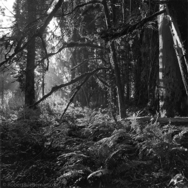 Cahill Ridge by Robert Buelteman – Limited Edition