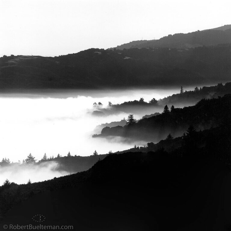 Rancho Corte Madera by Robert Buelteman Limited Edition