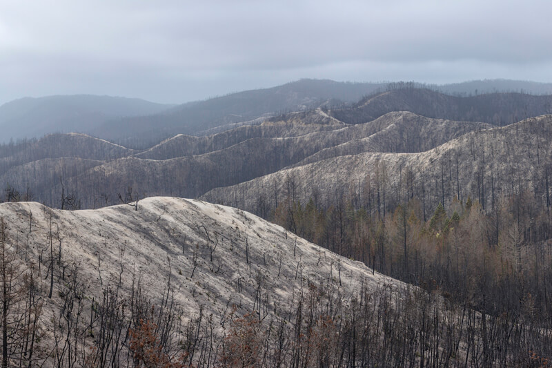 burned nearly bare mountains in the Gazos watershed after the CZU Fire by Ian Bornarth