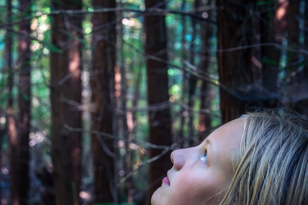 The profile of a girl looking up with an out of focus redwood forest behind her, by Orenda Randuch