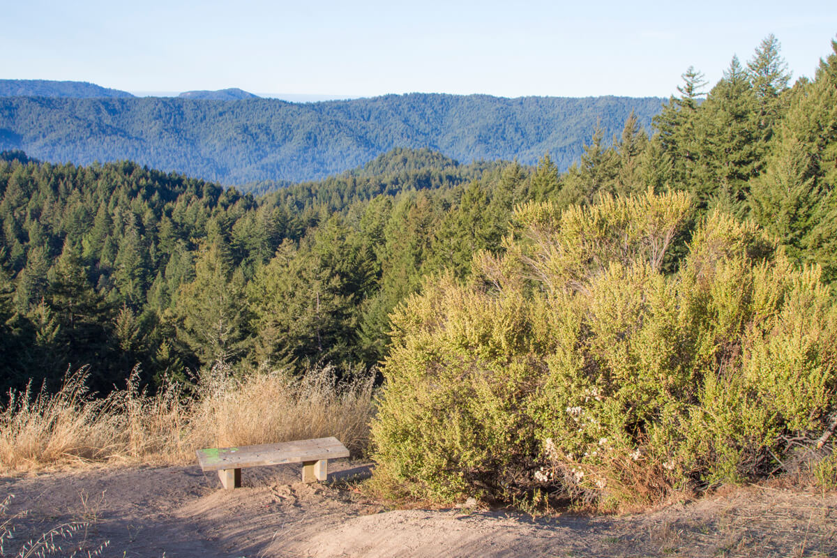 An empty park bench overlooks a forested slope to the Santa Cruz mountains beyond, by Mike Kahn