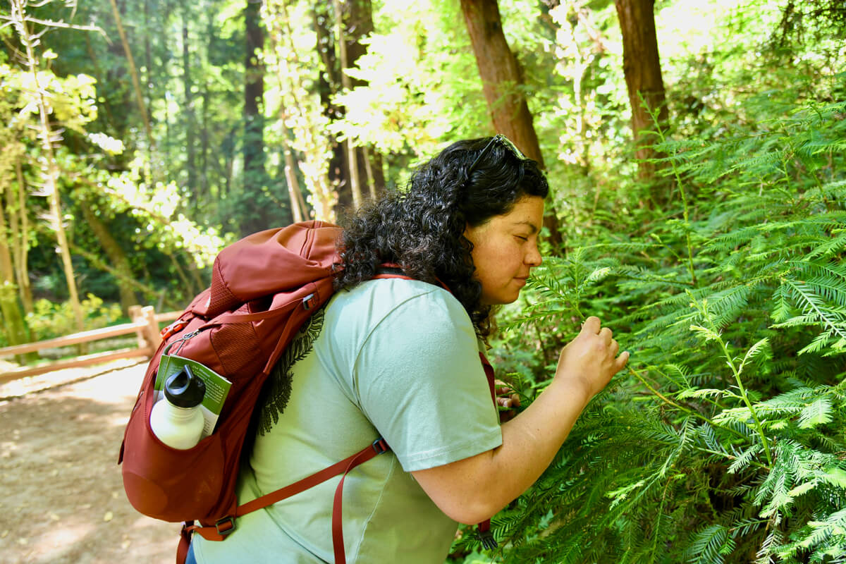 Verónica Silva-Miranda stops along the Redwood Grove loop Trail and gently holds a young redwood branch and smells it with her eyes closed, courtesy of Latino Outdoors