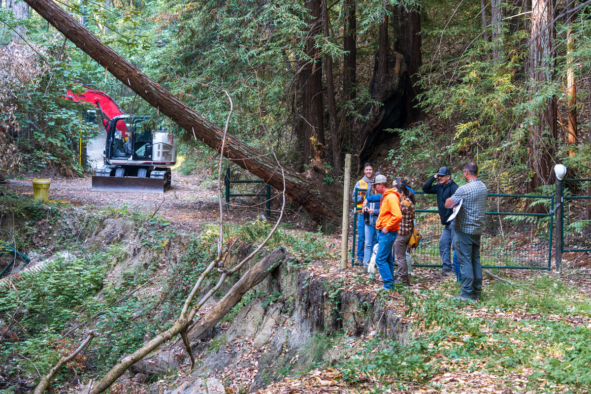 Several crew members stand at the edge of an unused road in the redwoods and look down at a sheer drop from its edge into the creek below, by Orenda Randuch