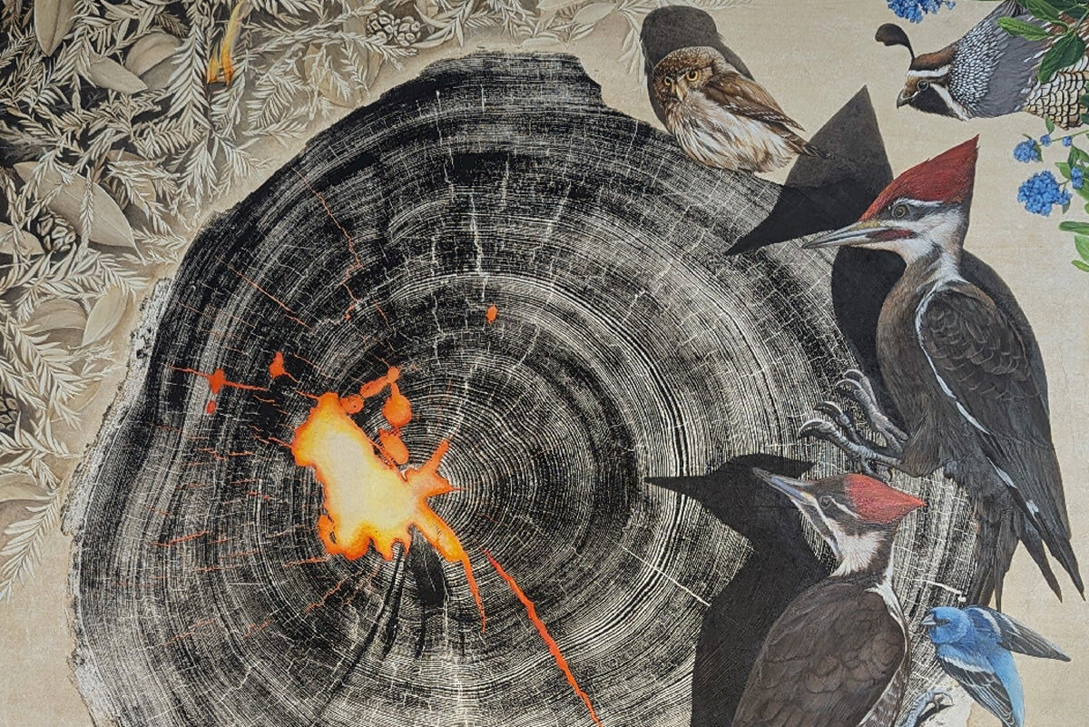 Fire blazes within the rings of a resprouting redwood stump surrounded by painted birds and other forest fauna, by Jane Kim, Ink Dwell