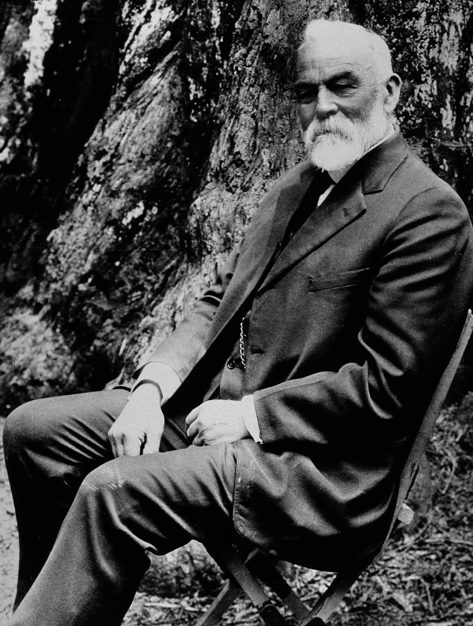 Andrew P. Hill sits on a wooden chair outdoors, wearing a dark suit and tie, in front of a large tree trunk.